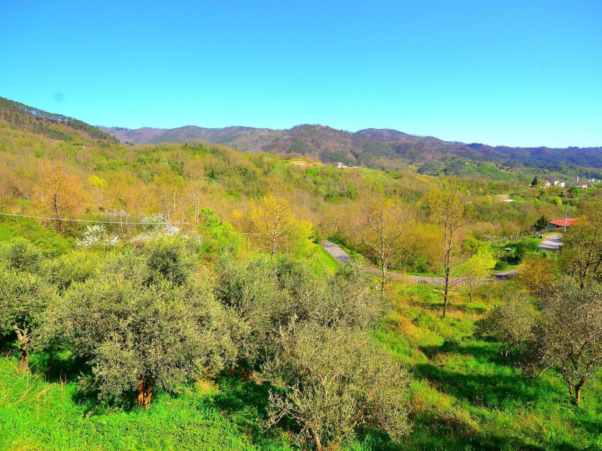 Spacious Home Surrounded By Nature Sesta Godano Esterno foto